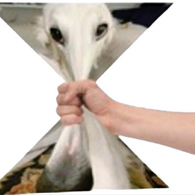 sideowip's avatar