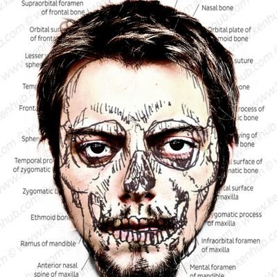 Quelfaa's avatar