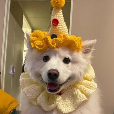 ToafeyD's avatar